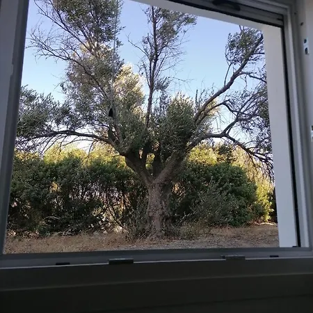 Zafiri Countryside 4 * Agios Arsenios